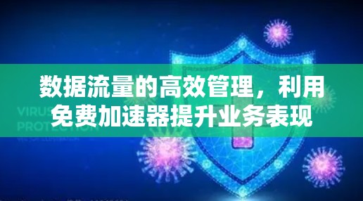 数据流量的高效管理，利用免费<strong>加速器</strong>提升业务表现
