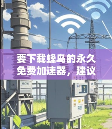 要下载蜂鸟的永久免费加速器，建议按照以下步骤操作