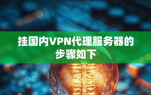 挂国内VPN代理服务器的步骤如下
