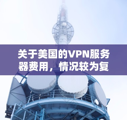关于美国的VPN服务器费用，情况较为复杂，具体价格可能因机构、服务器类型和政府补贴而异。以下是一些常见的信息和建议