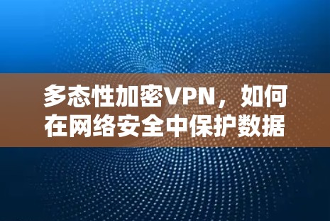 多态性加密VPN，如何在网络安全中保护数据与流量