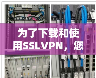为了下载和使用SSLVPN，您可以按照以下步骤进行