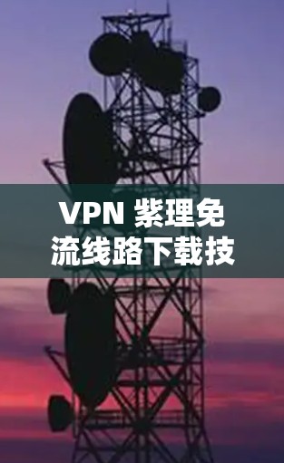 VPN 紫理免流线路下载技术解析及优化建议