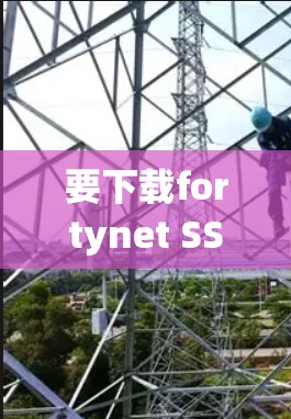 要下载fortynet SSL服务器，您可以按照以下步骤进行操作