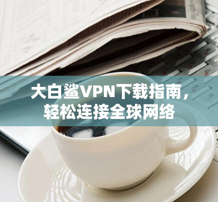 大白鲨VPN下载指南，轻松连接全球网络